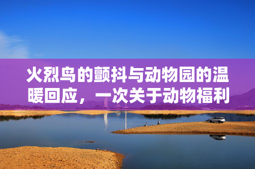 火烈鸟的颤抖与动物园的温暖回应，一次关于动物福利的深度探讨