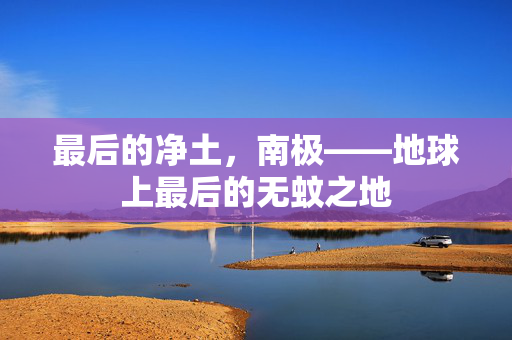 最后的净土，南极——地球上最后的无蚊之地