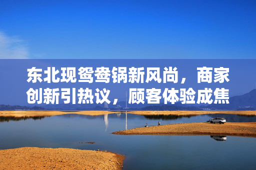 东北现鸳鸯锅新风尚，商家创新引热议，顾客体验成焦点