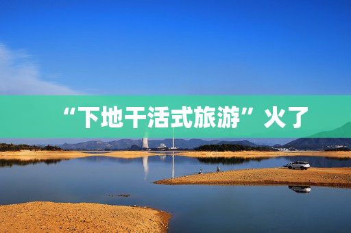 “下地干活式旅游”火了