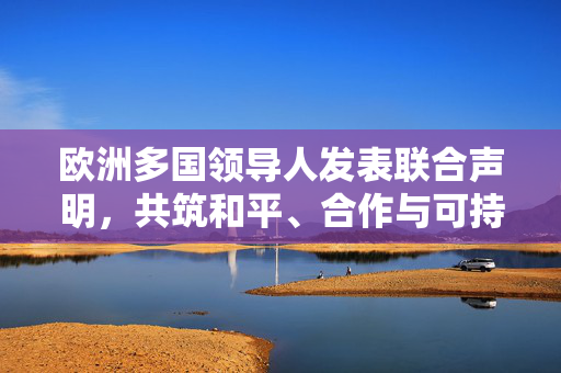 欧洲多国领导人发表联合声明，共筑和平、合作与可持续发展的未来