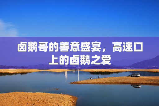 卤鹅哥的善意盛宴，高速口上的卤鹅之爱