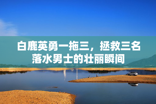 白鹿英勇一拖三，拯救三名落水男士的壮丽瞬间