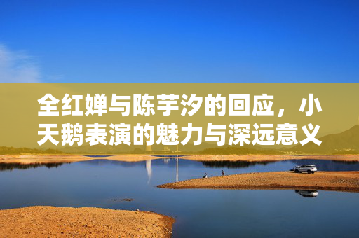 全红婵与陈芋汐的回应，小天鹅表演的魅力与深远意义