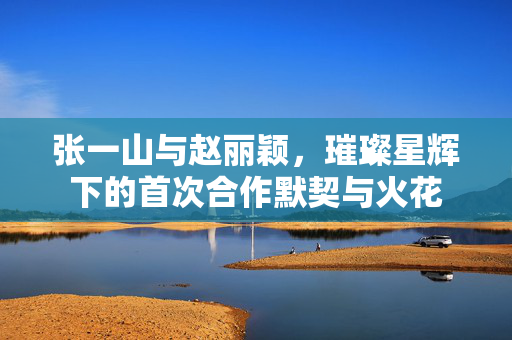 张一山与赵丽颖，璀璨星辉下的首次合作默契与火花