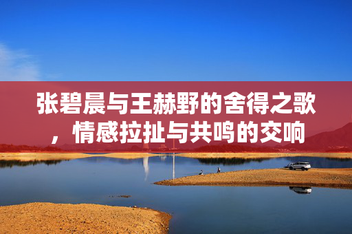 张碧晨与王赫野的舍得之歌，情感拉扯与共鸣的交响