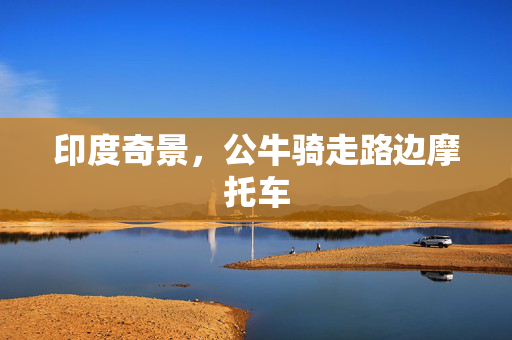 印度奇景，公牛骑走路边摩托车