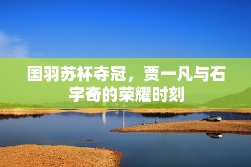 国羽苏杯夺冠，贾一凡与石宇奇的荣耀时刻